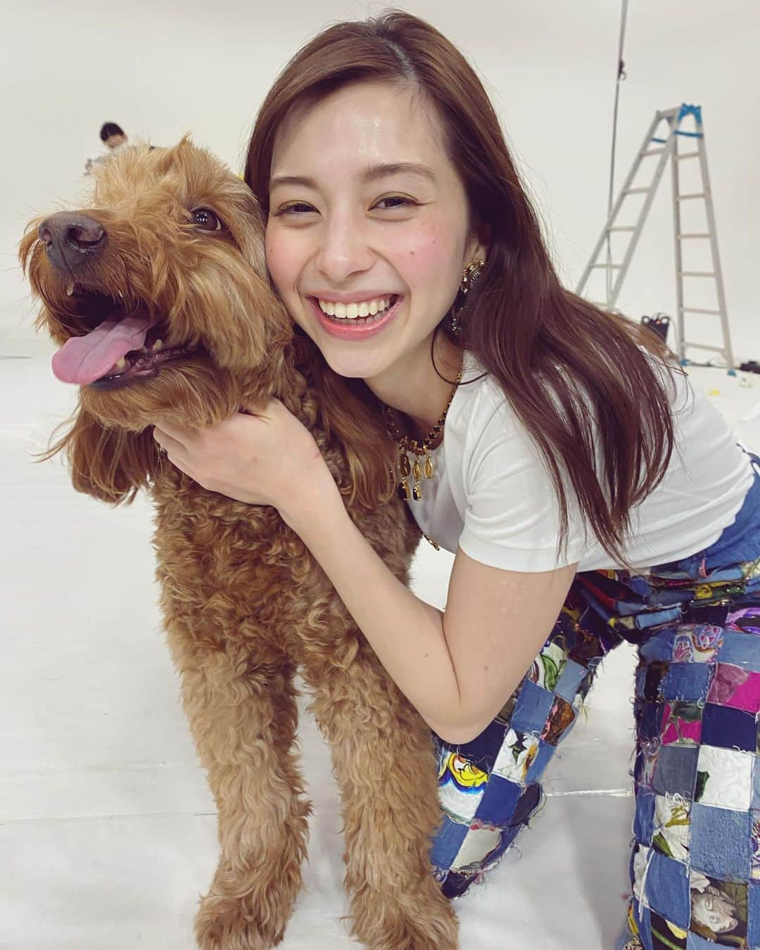 中条あやみさんのインスタグラム写真 - (中条あやみInstagram)「撮影で一緒だったおっきいいっぬ🐶 おっきいいっぬと暮らしたい♡」3月17日 23時34分 - nakajo_ayami