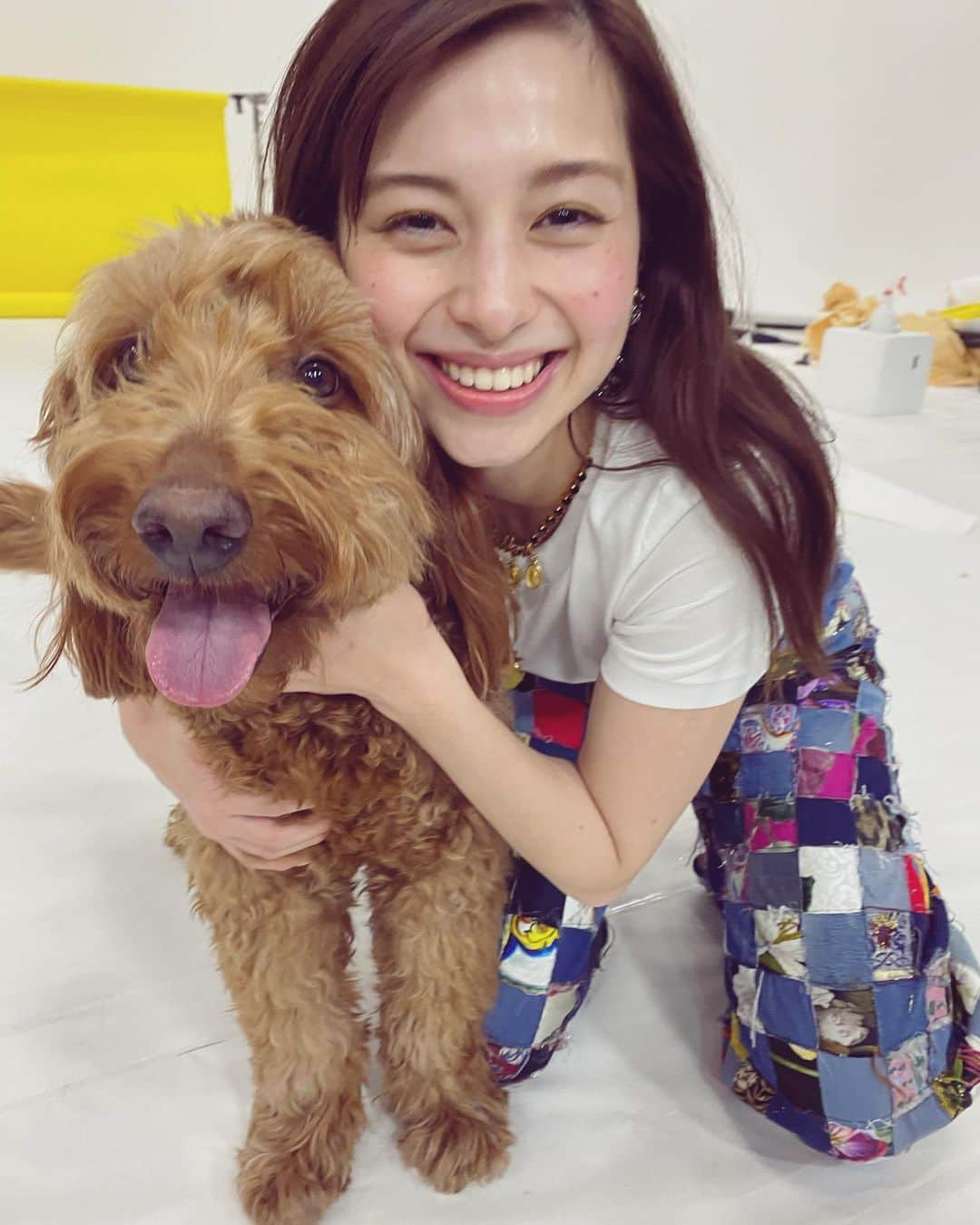 中条あやみさんのインスタグラム写真 - (中条あやみInstagram)「撮影で一緒だったおっきいいっぬ🐶 おっきいいっぬと暮らしたい♡」3月17日 23時34分 - nakajo_ayami