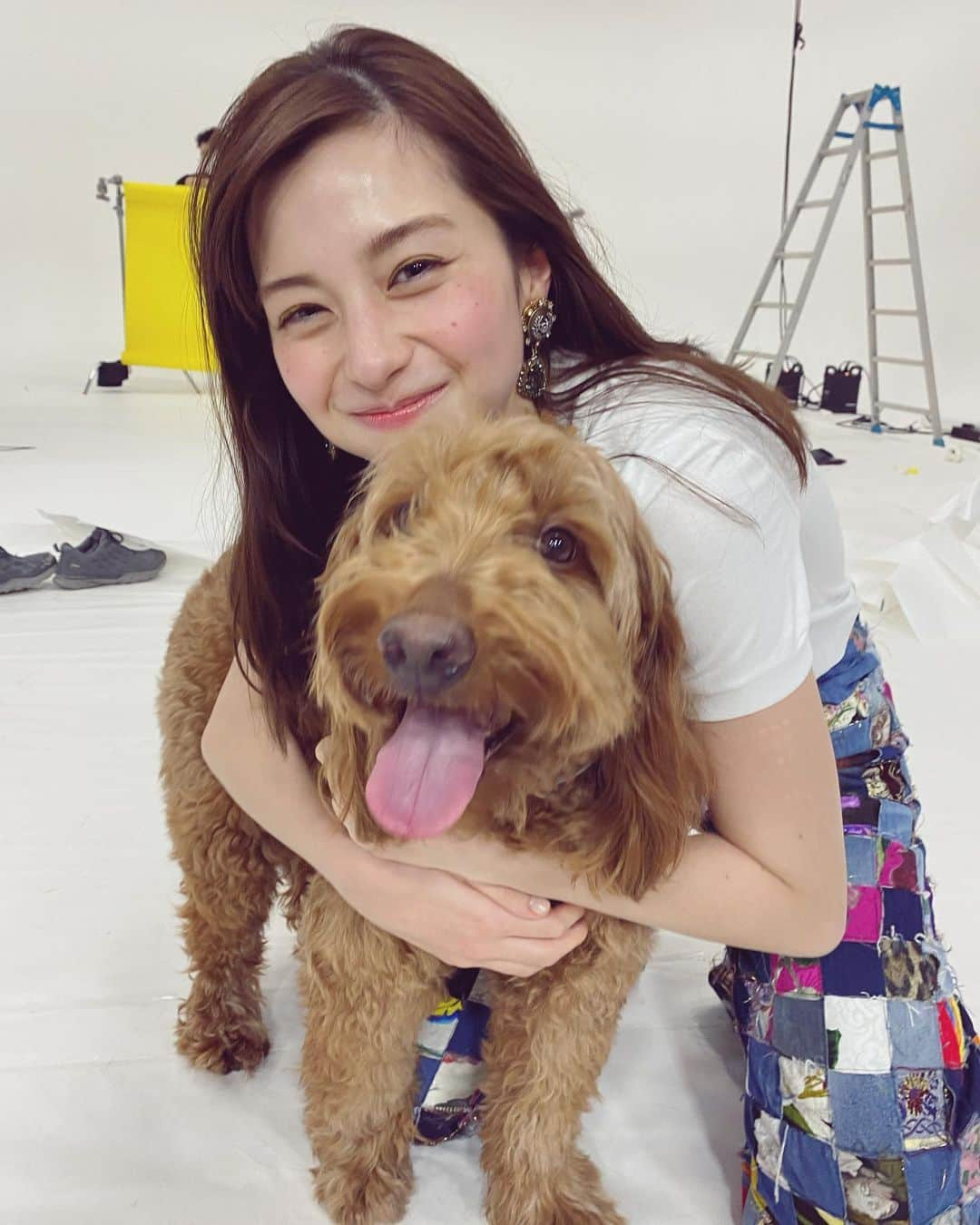 中条あやみさんのインスタグラム写真 - (中条あやみInstagram)「撮影で一緒だったおっきいいっぬ🐶 おっきいいっぬと暮らしたい♡」3月17日 23時34分 - nakajo_ayami