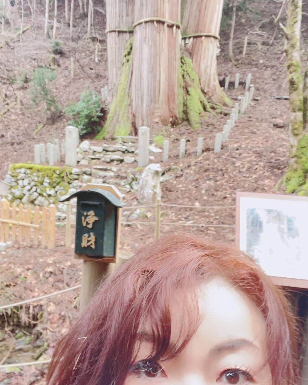 モモコさんのインスタグラム写真 - (モモコInstagram)「美山荘に行きました😊 日本で1番の杉があるというので45分かけて山歩きしました❗️ 気持ちよかった〜💕 屋久杉も行ったけどこれもすごかったー😆 最近わかったんやてー。  今日配信のYouTubeは、家族で太閤園に行った時の私のお誕生日の様子です🎂 ご覧下さいね〜❗️  #ハイヒールモモコ #👠 #👠🍑 #CHANEL #シャネラー #グルメ #アメブロ  #YouTube #モモコ新聞 #太閤園 #お誕生日 #家族 #美山荘 #杉の木 #山歩き」3月18日 0時07分 - highheel_momoko