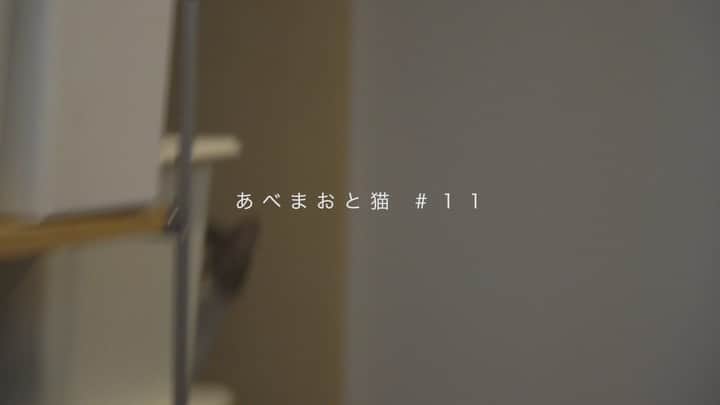 阿部真央のインスタグラム：「涙無くして 見られない回でした。  素晴らしい気持ちを今週も 本当にありがとうございます。  #おじさまと猫  #ふたりで居れば #あべまおと猫 #阿部真央」