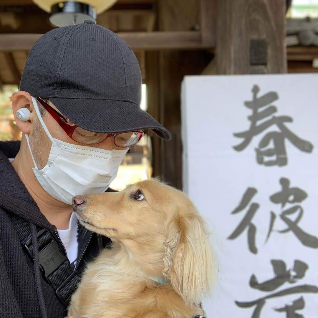 福井晶一さんのインスタグラム写真 - (福井晶一Instagram)「今日はお散歩日和☀️  ナッツと🥜  もうすぐ春分の日🌸 春分の日とは「自然をたたえ生物をいつくしむ」ためのもの。 春の到来を喜ぶ人々の想いがあふれていてその想いをご先祖さまと分かち合うのだとか…  至るところに春の匂い😌 お父さん、ロクちゃん… 見守っててね！  今日もレミ歌稽古 行ってきます！  #春彼岸 #お寺 #椿 #花粉対策 #愛犬ナッツ #愛犬ロク #元保護犬 #ミグノンプラン  #ミニチュアダックス #いぬすたぐらむ #犬バカ部  #dogstagram  #doglover」3月18日 12時37分 - shoichi.fukui