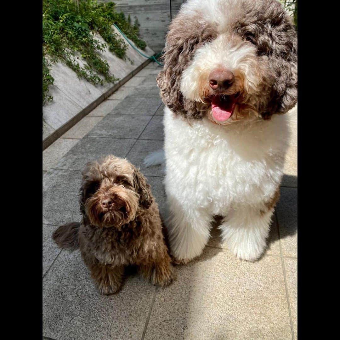 木村拓哉さんのインスタグラム写真 - (木村拓哉Instagram)「﻿ ﻿ 「今日もガッツリ歩いて来ました！﻿ ﻿ 桜の花がチラチラと咲き始めてましたが、この状態が落ち着くまでは"お花見"は出来なさそうですね……。﻿ ﻿ でも、気を落とさずに季節の移り変わりを感じながら一緒に前に進んで行きましょうねぇ〜‼︎」﻿ ﻿ STAYSAFE!﻿ ﻿ 拓哉﻿ #木村拓哉#TakuyaKimura」3月18日 12時59分 - takuya.kimura_tak