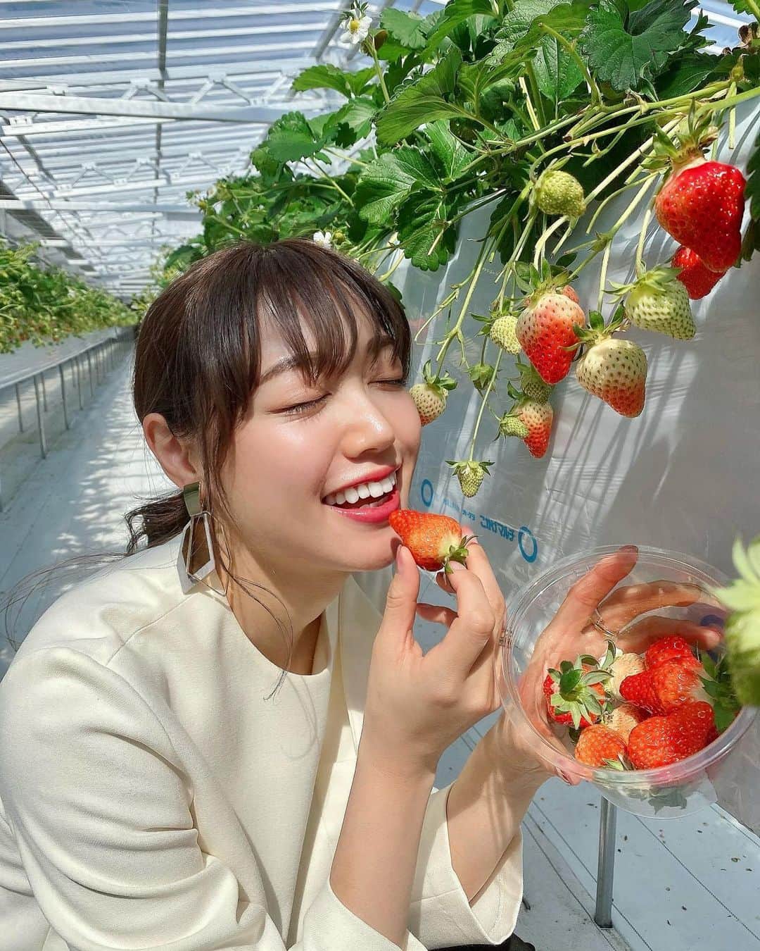 のインスタグラム：「. (⌒∀⌒)🍓 この絵文字の組み合わせみたいな顔してるよね  #いちご狩り#苺狩り#苺#ストロベリー#笑顔#笑顔が一番#果物#果物狩り#関西グルメ#グルメ女子#関西グルメ女子#苺スイーツ#練乳#モノトーンファッション#ブラウス#ユナイテッドトウキョウ #アーバンリサーチ#イヤリング#movie#smile#happy#strawberry#japan#japanesegirl#asiangirls#unitedtokyo#urbanresearch」