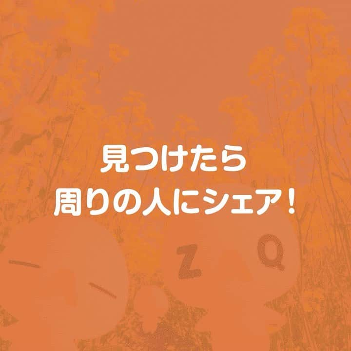 ざっくぅ 公式Instagramのインスタグラム