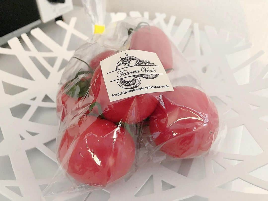 辻満里奈さんのインスタグラム写真 - (辻満里奈Instagram)「タダイマ！毎週木曜日のバリうまごはんのナレーションを担当させていただいているのですが...  今回の依頼人、トマト農家 Fattoria verdeさんのトマトをお裾分けしていただきました🍅✨  フルーツみたいな甘さにびっくり！  その甘みを活かしたバリうま料理をスミオ先生がご提案します🌟  詳しくは @rkb_bariuma と今日の放送をご覧ください✨ (バリうまごはんのコーナーは、タダイマ！６時台です)  #トマト #水切りトマト #バリうま #バリうまごはん #福岡 #トマト農家」3月18日 11時09分 - marina__tsuji