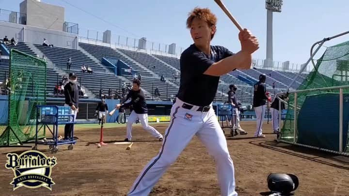 オリックス・バファローズのインスタグラム