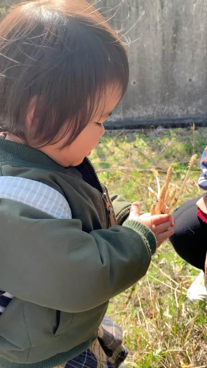 前田阿希子のインスタグラム：「双子、春との遭遇。  #双子#双子のいる生活 #twins#春#mamari #子供のいる生活 #mamanokoムービー  #ベビライフ #たまひよ#ままのて #ベビスタグラム #コドモノ #今日はいいお天気ですね😆 #つくしを久々につみました #たいそうな音楽をつけましたが #ただのつくしです。 #花粉も飛んでいますね #私絶不調 #皆さんは大丈夫ですか？ #何はともあれ #春が来ましたね🌸 #instagram #photo #育児 #幸せ #アウトドア #公園 #出産 #大人 #人」