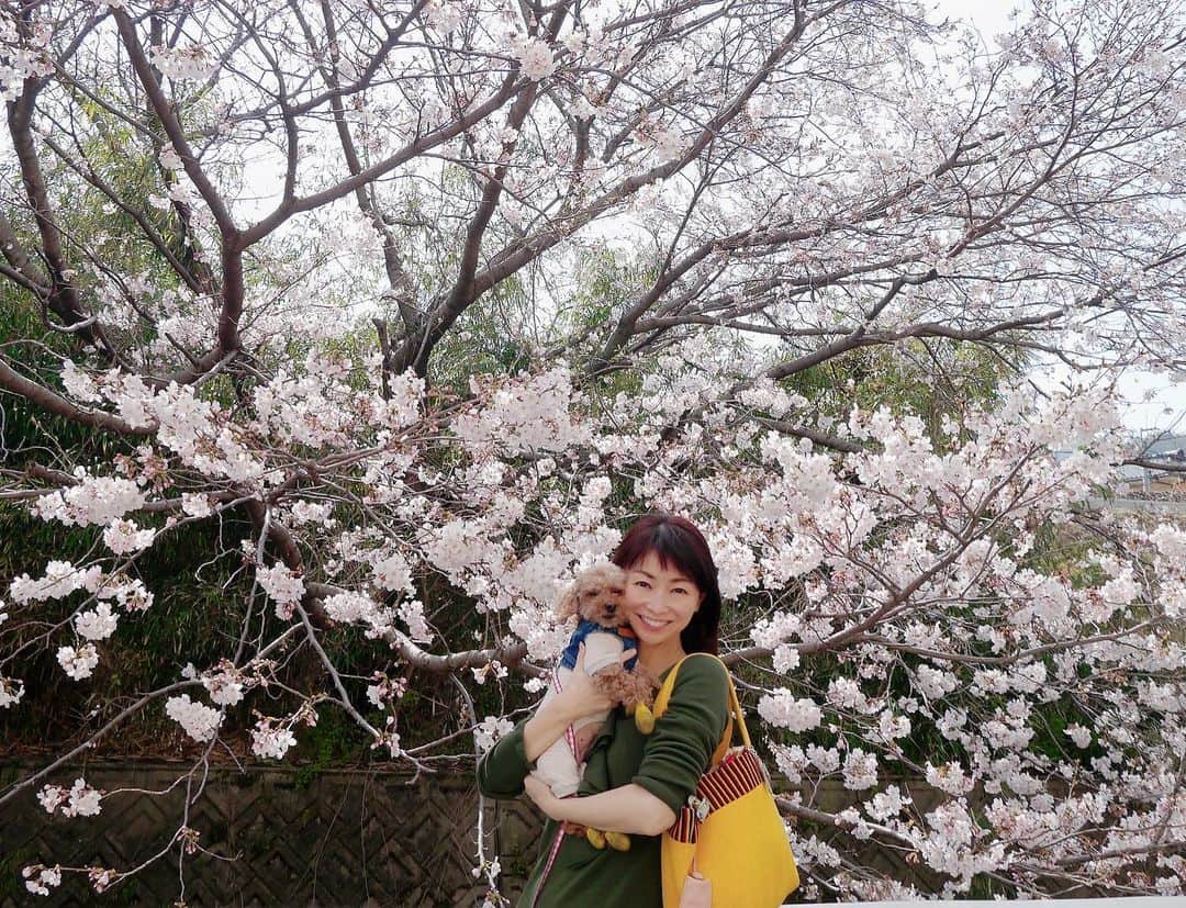 荒生暁子のインスタグラム