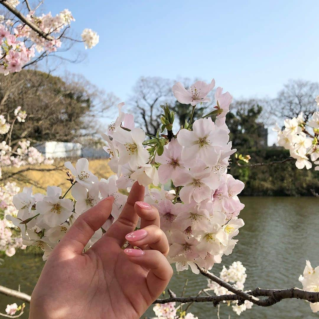 横山紗弓のインスタグラム