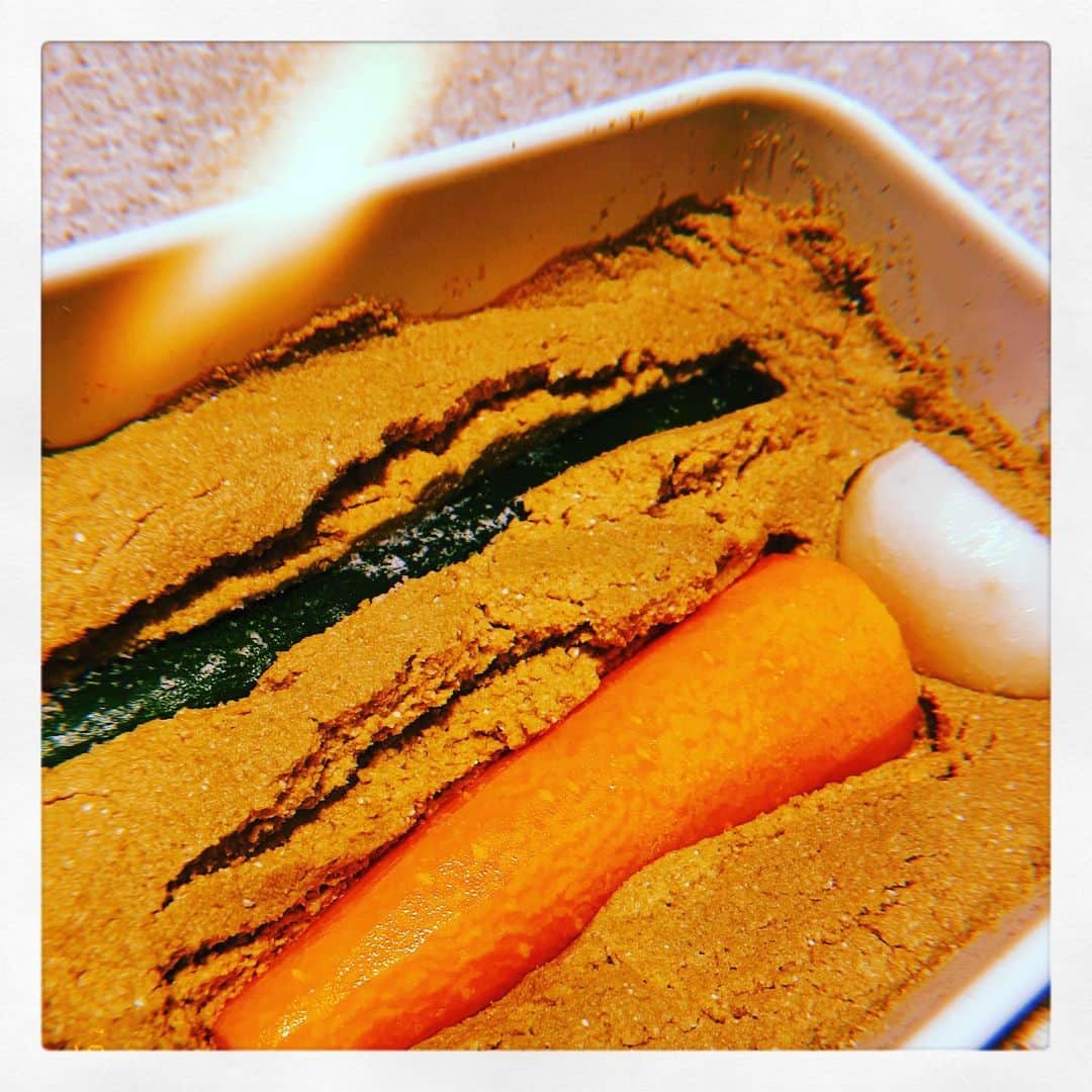 川口春奈さんのインスタグラム写真 - (川口春奈Instagram)「ちゃんと漬かってくれぇ！おすすめの野菜、漬け方などあればおしえてください。とりあえずシンプルに昆布と塩のみです。」3月18日 22時33分 - haruna_kawaguchi_official
