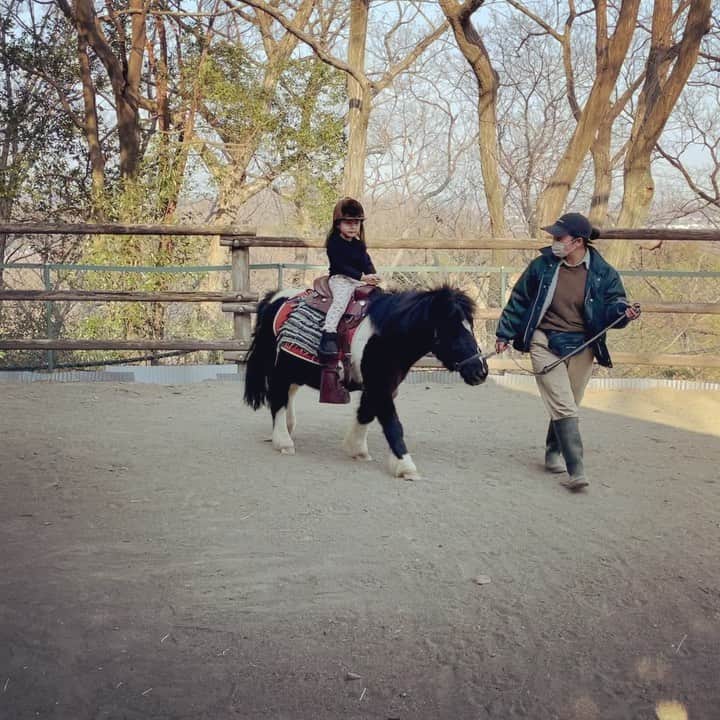 古澤恵のインスタグラム：「ひとりで初ポニー🐴  おうちでポニー飼うの夢🌈✨  #群馬サファリパーク #4歳娘 #初めてのポニー乗馬 #ひとりでできるもん #母ちゃんは鉄馬乗り #乗馬したいなぁ」