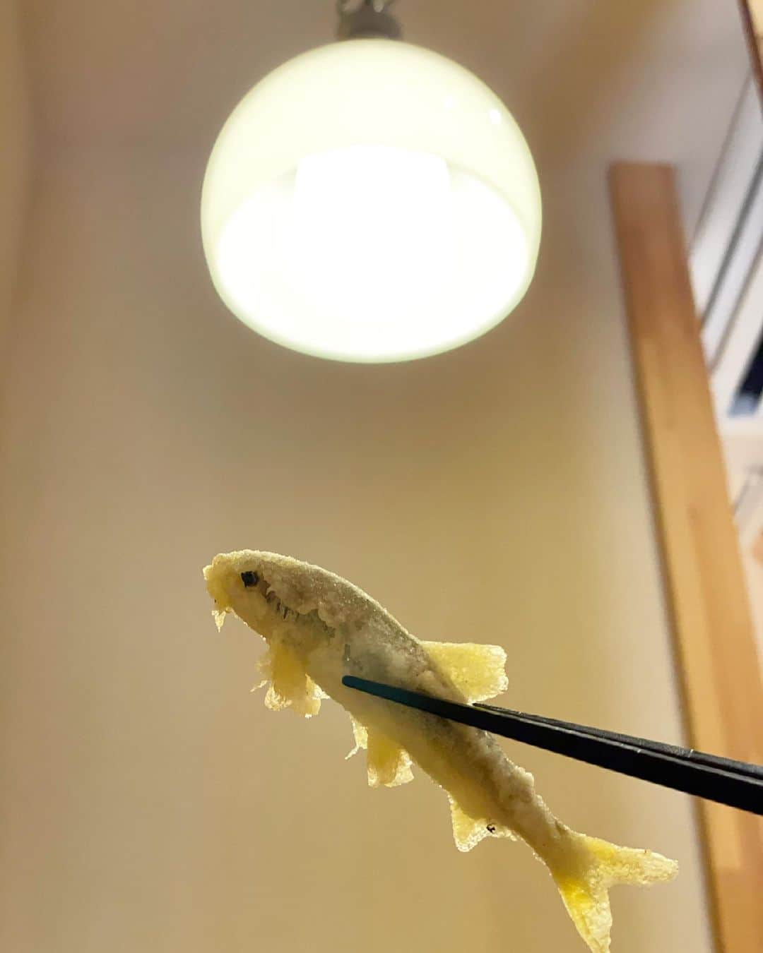 猫沢エミのグルメインスタ