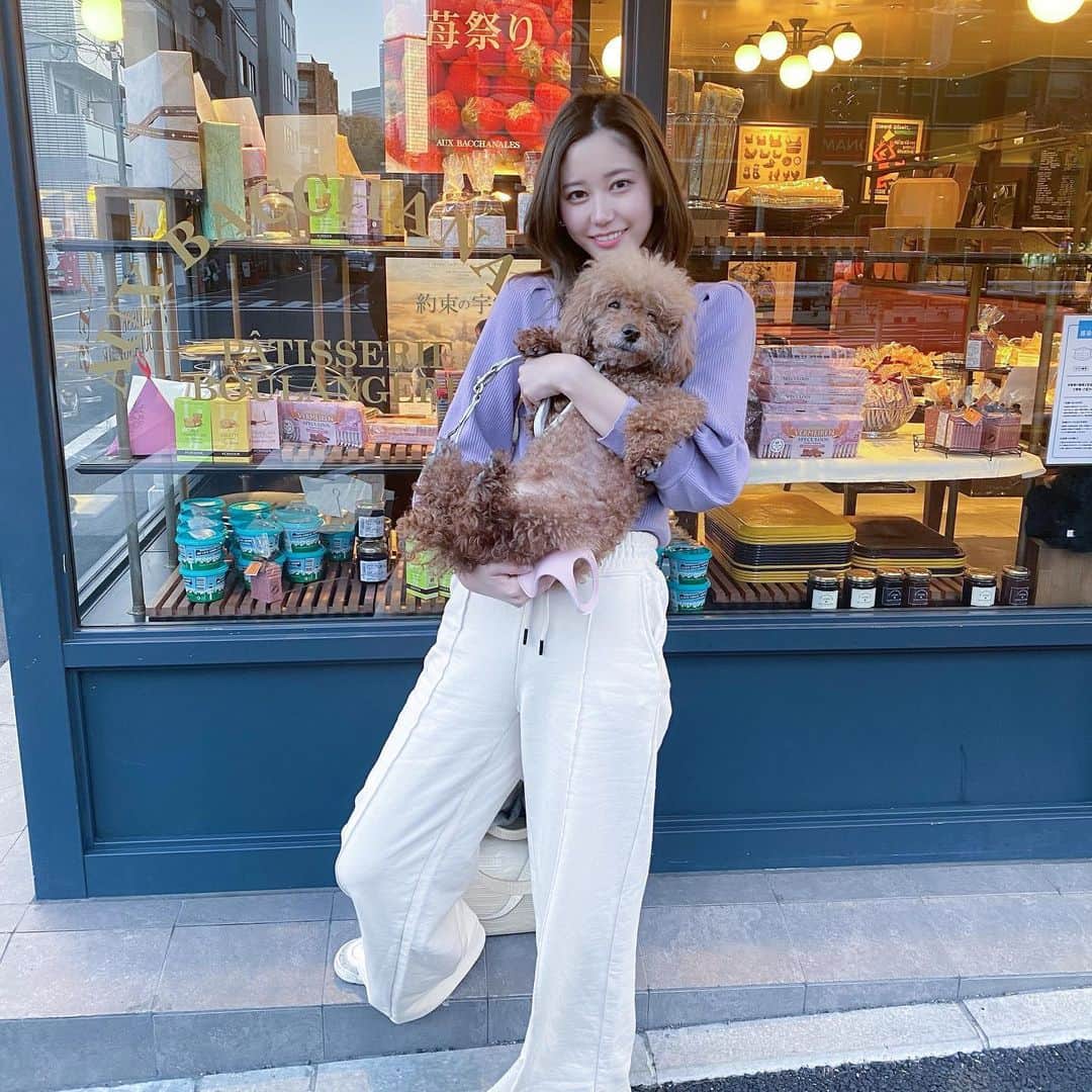 のインスタグラム：「クッキー🍪似てる？」