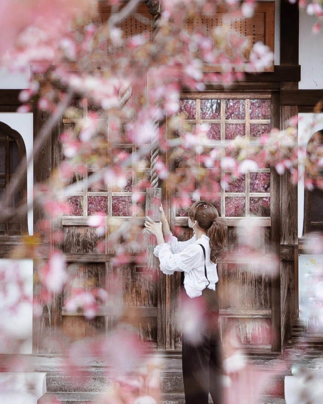 Yukicoさんのインスタグラム写真 - (YukicoInstagram)「𓆱𓆸𓆹𓆺  長徳寺のリフレクション🌿🌸🌿🌸🌿 ギリギリセーフ🌿🌿  #kyoto#cherryblossom#japan#sakura#ig_japan#flowerphotography#cherryblossom#桜#日本の風景#私の花の写真#はなまっぷ#京都#長徳寺#出町柳#京都旅#京都観光#京都桜#京都散策#インスタグラム#インフルエンサー#京都桜2021」3月18日 20時36分 - yukicolifecom