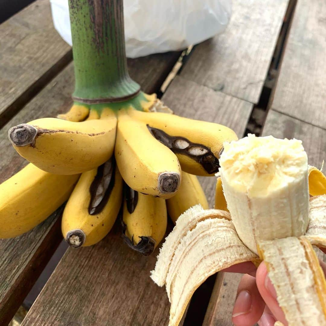 仲田克也さんのインスタグラム写真 - (仲田克也Instagram)「じいちゃん家の島バナナ🍌  そして大先輩の会に参戦👍👍  俺が産まれる前から現在の農家事情を話してくれてる😭  若い俺たちが動かなきゃいけない！  良い時間と良い話をありがとーーー(^^)  #宮古島 #宮古バナナ #島バナナ #大先輩の会 #じいちゃん #孫」3月18日 20時39分 - minatoisshiki