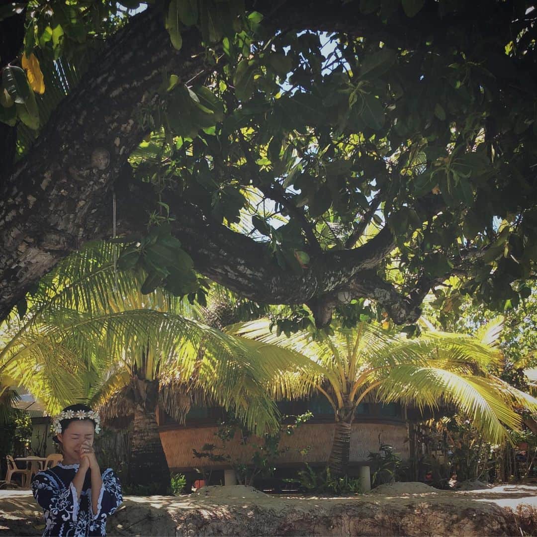 チョン・ユミのインスタグラム：「🌴🌳🕊」