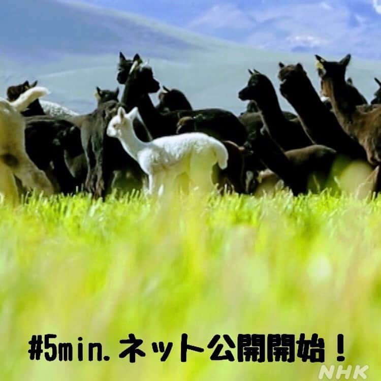 NHK「世界はほしいモノにあふれてる」さんのインスタグラム写真 - (NHK「世界はほしいモノにあふれてる」Instagram)3月18日 23時15分 - nhk_sekahoshi