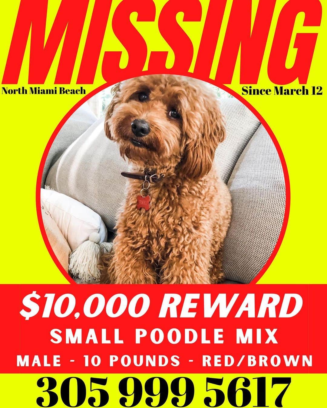 GODDESS OF LOVEのインスタグラム：「Help me to get my Baby Enki Back! @enki.doodle.bear PLEASE SHARE!!」