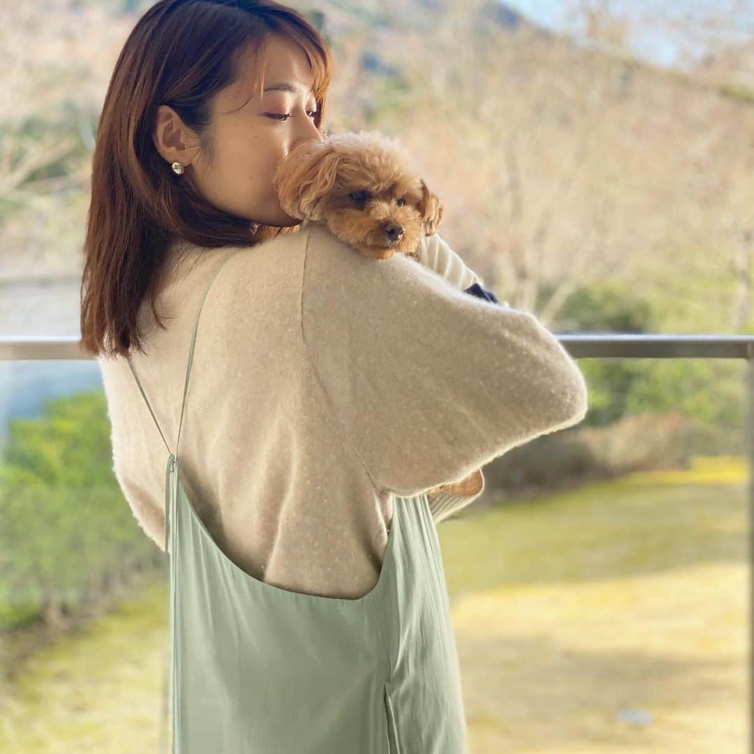 内山理名さんのインスタグラム写真 - (内山理名Instagram)「むちっとして　あったかくて  あ〜かわいい🐩🪵🌱  ねちゃった。  #mylovelydog  #tink」3月19日 17時19分 - rinauchiyama_official