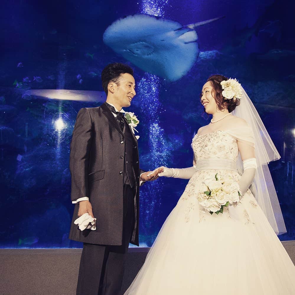 ホテルイースト21東京ウェディング公式のインスタグラム：「おさかなさんたちも祝福💞 【すみだ水族館×ホテルイースト21東京】  ＝＝＝ #ホテルイースト21東京 #ホテルイースト #東陽町 #江東区結婚式 #ホテルウェディング #ホテル婚 #結婚準備 #結婚式 #前撮り #後撮り #hoteleast21tokyo #hotel east #wedding #hotelwedding」