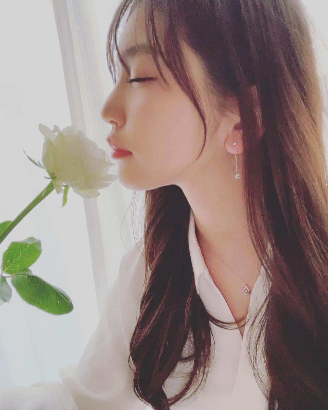 藤乃あおいさんのインスタグラム写真 - (藤乃あおいInstagram)「1番好きな薔薇の花🌹」3月19日 16時44分 - fujino_aoi