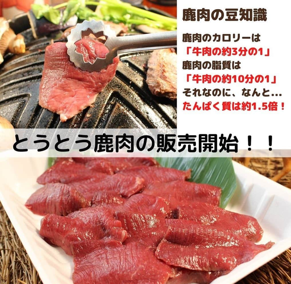 KEMONOさんのインスタグラム写真 - (KEMONOInstagram)「. . 北海道産 エゾ鹿肉 鹿肉専用焼肉のタレ付き （２００g）1パック 🐗🍺 @kemono1215   「ジビエ専門店」一番人気の商品がこちら！！  お値段¥1944円！🔥  ⭐️今なら半額キャンペーン中のため、さらにお安くなります🥰  北海道の知床に生息するエゾ鹿は、その自然豊かな環境ゆえに、厳しく育ち洗練されたフォルムに美しい肉体を持つ清栄です✨  食品としても栄養価の高いヘルシー食品で牛肉と比べると、カロリーが1/3であり脂質に至っては1/10程度で、高たんぱく。  減量中の格闘家も愛用するほど美しい体をつくる「美食」となっています！   当店にお越しいただいたダイエットや食事制限中の方からご要望の声を多くいただいて、販売に踏み切りました🔥  キャンペーンの詳細は以下をご覧ください✨ . ------------ 購入は画像タップ、もしくはプロフィールのURLから可能◎ ------------ . ✨1ヶ月間限定✨ 【ジビエ全商品半額キャンペーンまだまだ開催中！】 . おうち時間を贅沢に🍻✨という思いを込めて、1ヶ月限定でジビエ全商品半額キャンペーンを開催中！ . キャンペーン適用方法はめちゃくちゃカンタン。 以下のクーポンコードを購入時に入力するだけ！🐥 . ▶︎ クーポンコード【2021】 .  ⚠️こちらお一人様一回のみの適用となります！ . . ジビエで心も体も元気モリモリ🐗✨ たくさんのご注文お待ちしております🤤🍻 . . ▫️▫️▫️▫️▫️▫️ 【ジビエ専門の通販サイトへの行き方】 ▶︎ @kemono1215 のプロフィールにあるURLをクリックしてください🐗 ▫️▫️▫️▫️▫️▫️ . . #キャンペーン #キャンペーン実施中 #キャンペーン企画 #キャンペーン開催中 #キャンペーン情報 #キャンペーン中 #半額セール #半額キャンペーン #ジビエ好き #おうち時間を楽しむ #お取り寄せグルメ #大阪グルメ #料理好きな人と繋がりたい #ジビエ #生ラム #キャンプ飯 #キャンプ好きな人と繋がりたい #お手軽料理 #食レポグラム #キャンプ料理 #キャンプごはん #キャンプ好きと繋がりたい #おつまみごはん #おつまみレシピ #おうち居酒屋 #居酒屋ごはん #高タンパク低カロリー #高タンパク低糖質 #高タンパク #プロテイン」3月19日 17時08分 - jibie_shop_2021