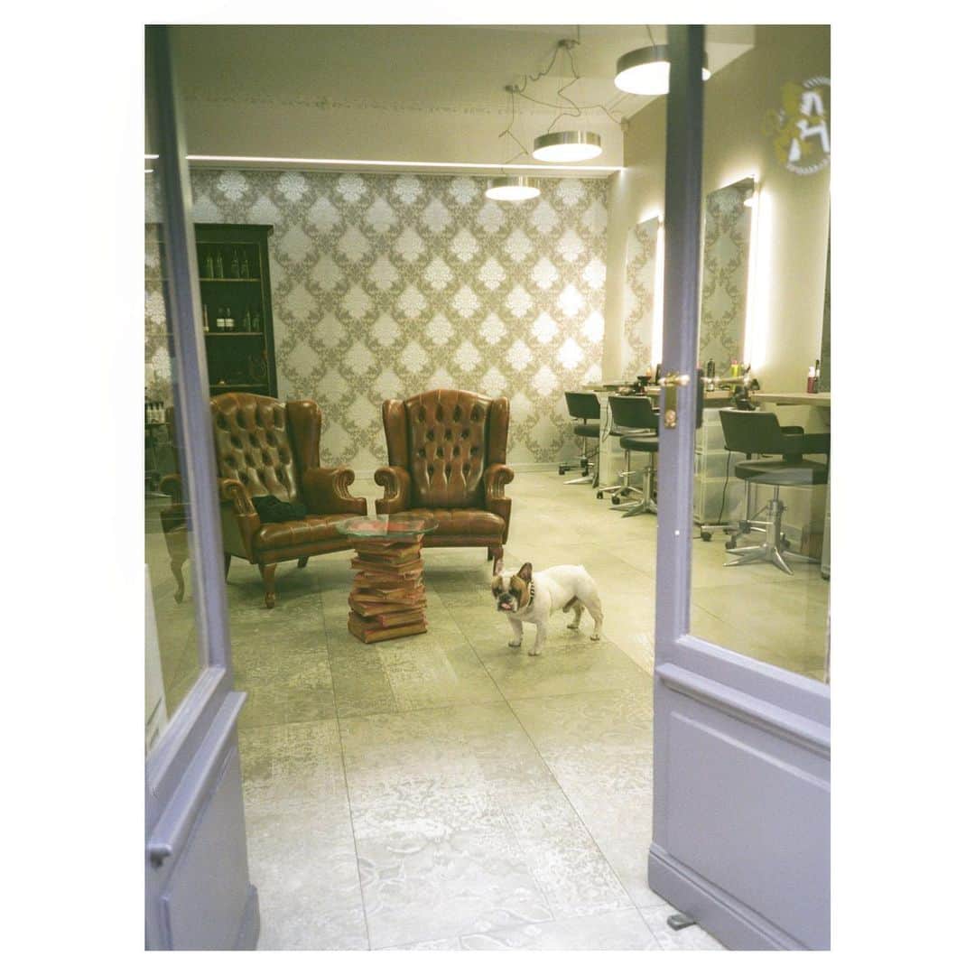石橋穂乃香のインスタグラム：「🦭 Throw back. 2019 Paris.  My wish is go back to this barber and cut my hair and play with this cutie💓 But I don’t remember this place though...  はぁ〜パリ行きてぇ！ #filmphotography #honophoto」
