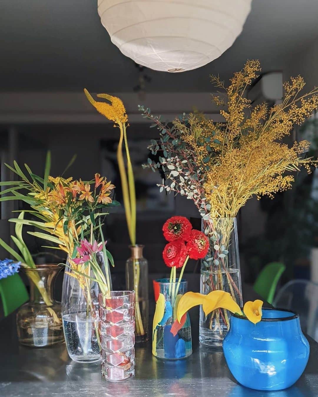 荻原桃子さんのインスタグラム写真 - (荻原桃子Instagram)「植物達の日光浴🌷🍃🌿  今日はこれからお家で食事の撮影があるからカラフルなお花を揃えた♡  あーかわいい」3月19日 13時45分 - momokoogihara