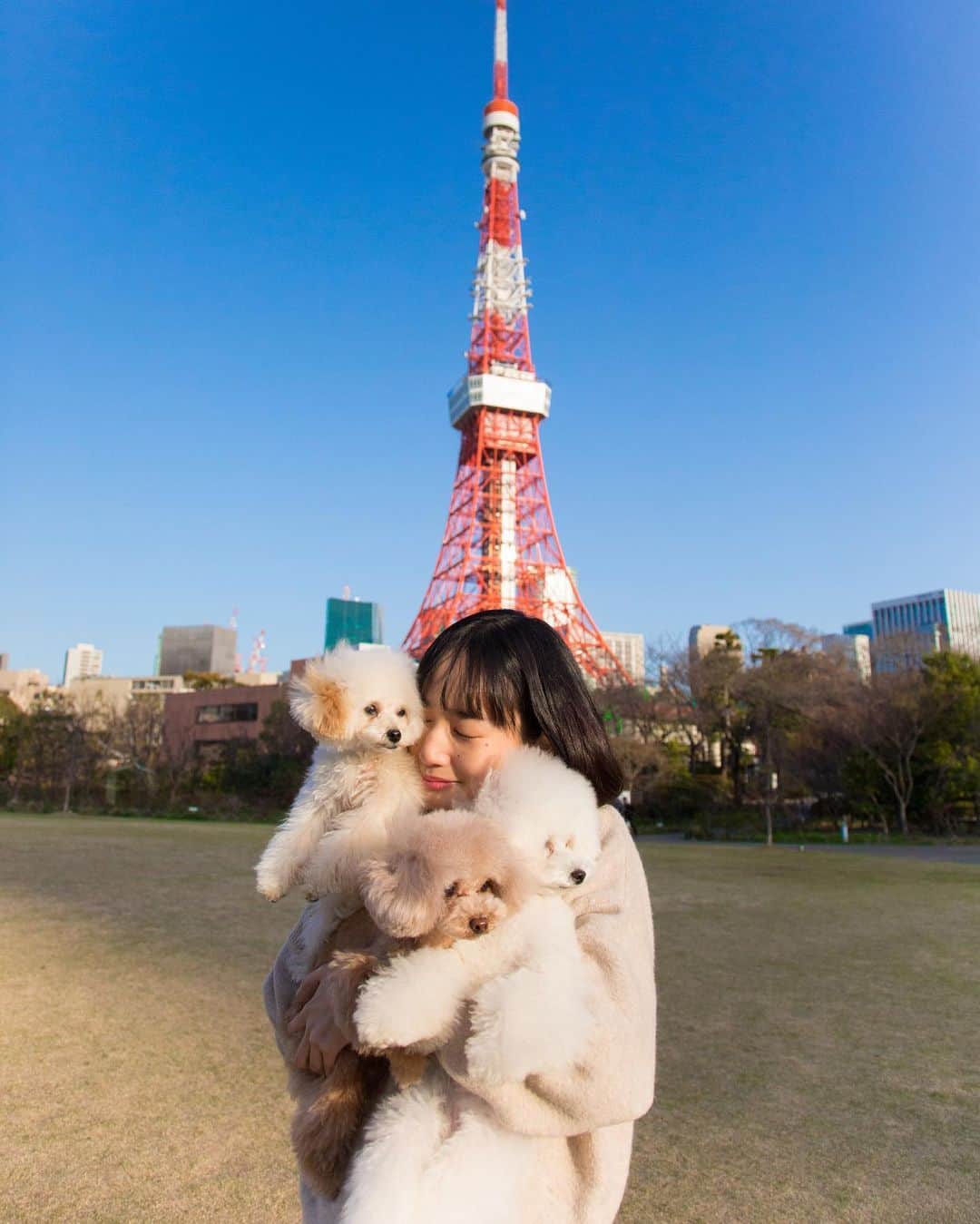 高嶋香帆のインスタグラム：「東京タワーと🗼 my sweet babys と🐶💓  #いぬすたぐらむ #犬のいる暮らし」