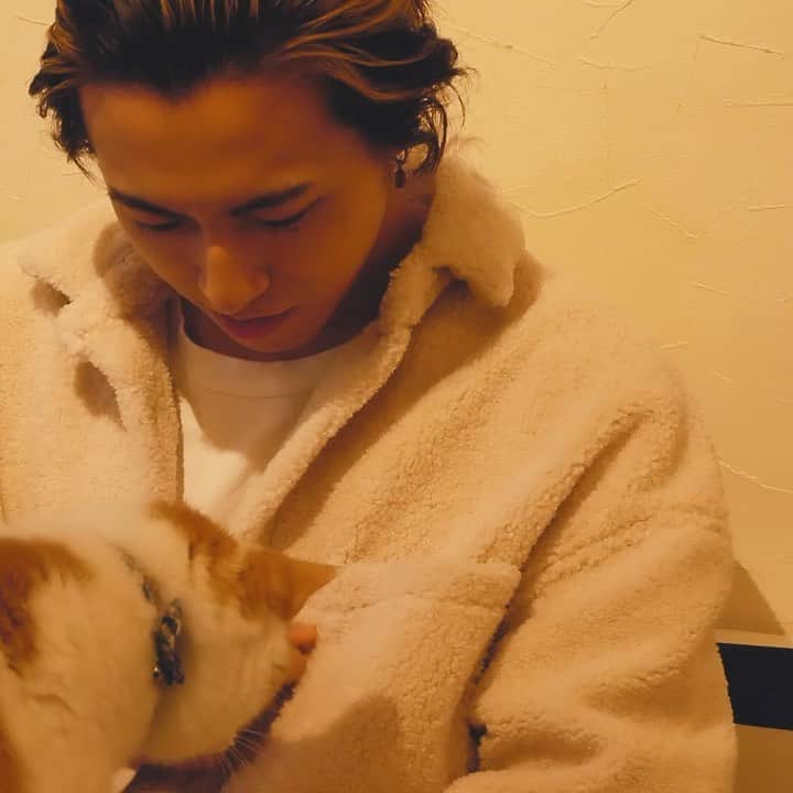 のインスタグラム：「松尾太陽「ハルの花」teaser https://youtu.be/1xWtE5bs9dY  #松尾太陽  #ハルの花  #ハルの思い出  #太陽と猫」