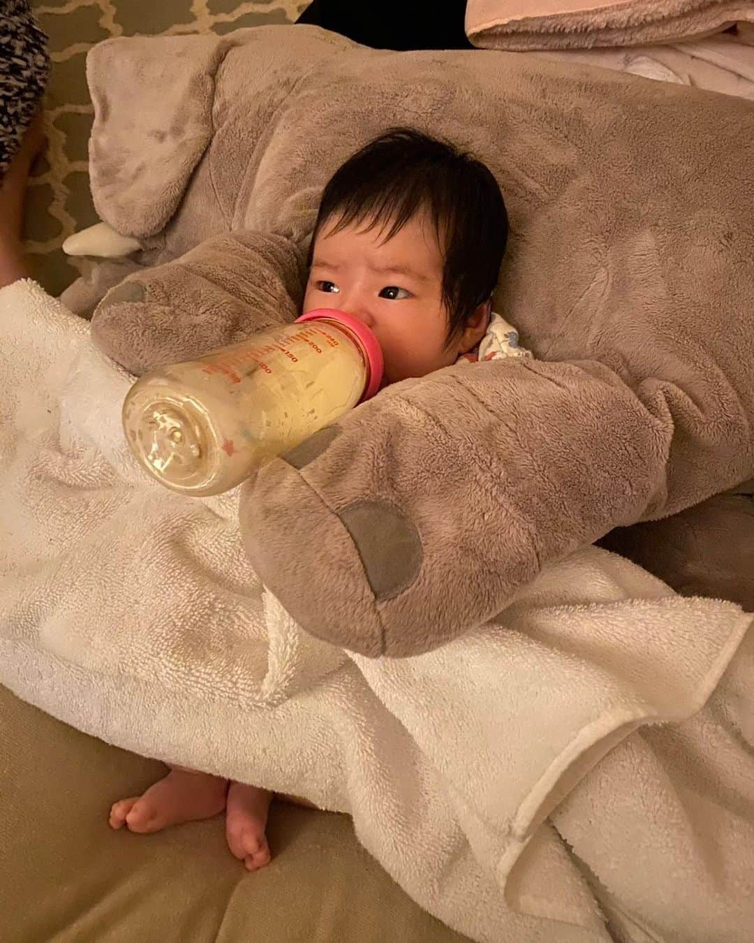 谷桃子さんのインスタグラム写真 - (谷桃子Instagram)「コモモちゃん♡セルフ飲みデビュー笑笑  ゾウさんが優しくサポートしてくれてます(*´꒳`*)✨🌸  落ち着いて上手に飲めました😋🎶✨ ご馳走さまでした♡♡  #コモモちゃん成長日記  #日常の風景  #小さな幸せ #大きな幸せ #baby #babyphoto」3月19日 19時17分 - momoko5999