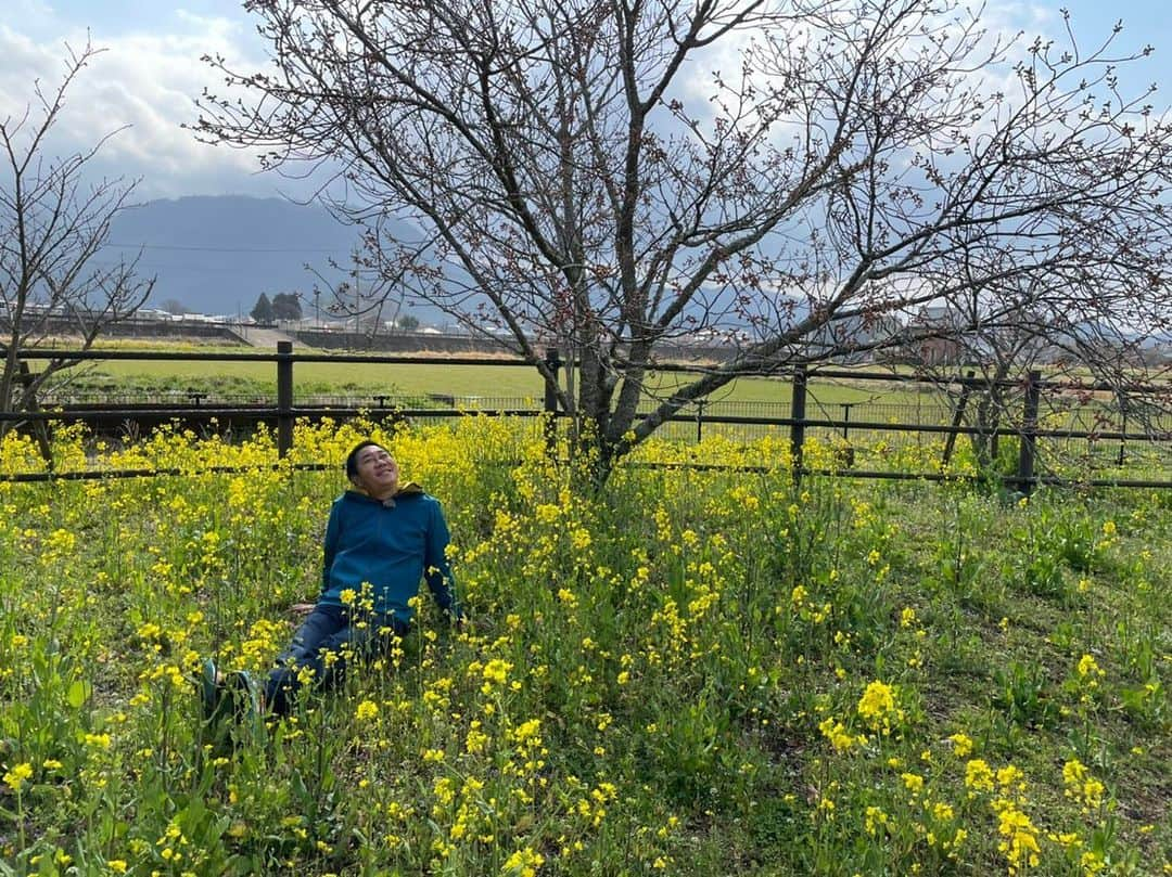 テレビ西日本「ももち浜ストア」さんのインスタグラム写真 - (テレビ西日本「ももち浜ストア」Instagram)「今日は高田課長 ( @takadakacho ) の エール旅 in 大分県をお届け📢🎉 全線運転再開をした #JR久大線 で行ける、 大分県おすすめスポットを訪れました🚃  玖珠町の #旧豊後森機関庫 は、時が止まったような 不思議な空間🚂 菜の花も咲き誇り、春を存分に感じられます🌼 また、隣接する #豊後森機関庫ミュージアム は 子どもが遊べるスペースも充実してました👨‍👩‍👧‍👦  日田市のカフェビヨリ( @cafebiyori_2013 )では、  #一期一会パフェ をいただきました🍨 いちご&練乳の組み合わせがたまらない、と 高田課長も感動🍓  九重町の旅館 #新清館 では、ワンコインで日帰り入浴♨️ 大自然に囲まれた露天風呂は、 美肌の湯と呼ばれる柔らかい泉質で、 高田課長もしっかり癒されてました🧖‍♂️  #ももち浜ストア #高田課長 #エール旅 #大分旅行 #玖珠町 #扇形機関庫 #日田市 #日田カフェ #九重町 #大分旅館 #大分温泉」3月19日 19時23分 - momochihamastore8