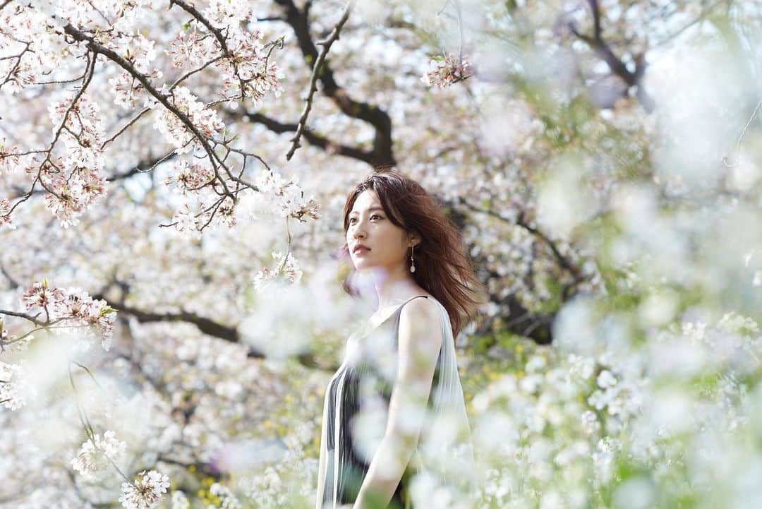 小山莉奈さんのインスタグラム写真 - (小山莉奈Instagram)「3년전🌸　#벚꽃」3月19日 20時26分 - koyama_rina