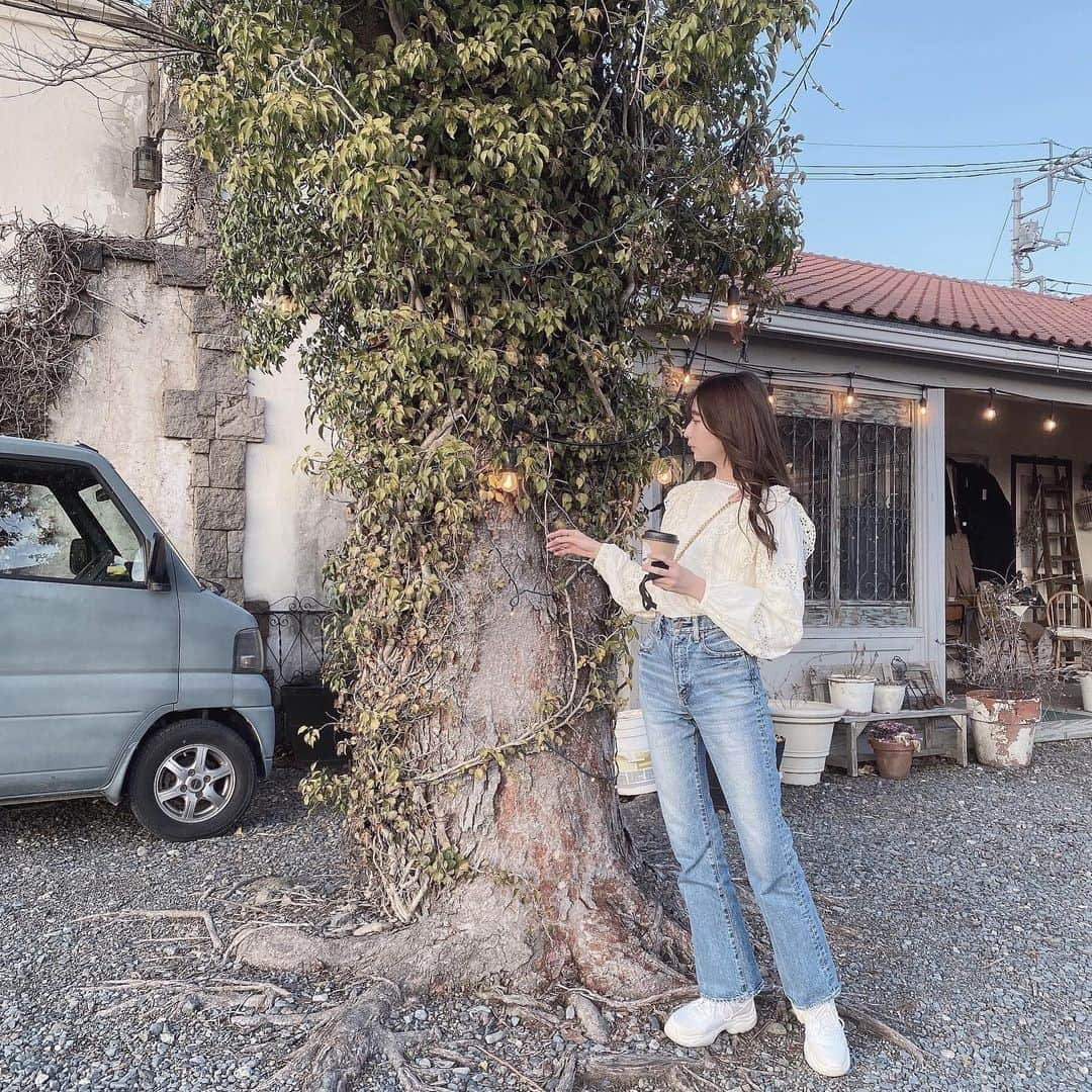 本島莉々果のインスタグラム：「💡🌳﻿ ﻿ ﻿ ﻿ Tops﻿ @moussyofficial  Pants﻿ @moussyofficial  Bag﻿ @miumiu  Shoes﻿ @snidel_official  ﻿ ﻿ ﻿ ﻿ #りりのふく﻿ #女子大生 #大学生コーデ #大学生ファッション #私服 #moussyjeans #デニム」