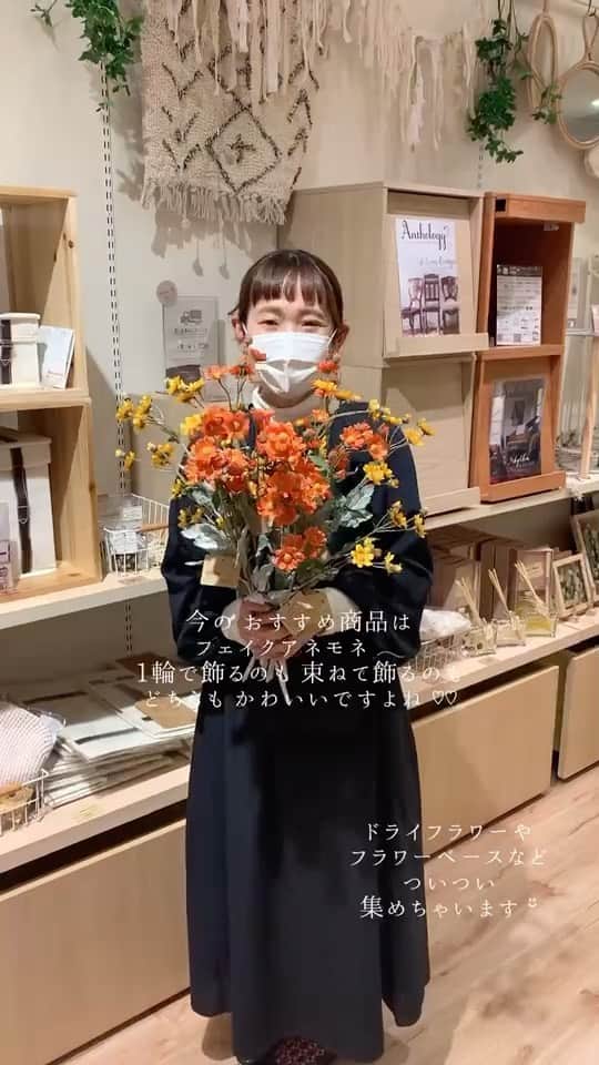salut!のインスタグラム：「つづいてご紹介するのは  最近関西から札幌パセオ店へ異動したｱ ｶ ﾘさん！ @salut_sapporo.akari   ふんわりした優しい雰囲気のｱｶﾘさんはもともと関西のららぽーとエキスポシティ店の人気インフルエンサー！  salut!が大好きで入社したｱｶﾘさん˙ᴥ˙ 北海道にお住まいの方は要チェックです𓎤𓅮 ⸒⸒  明日3/20(土)OAのUHB「いっとこ！」テレビに出演予定ですのでぜひ放送区域の方はご覧くださいませ*.+ﾟ  @salut_shop 公式アカウントでは 新商品やおすすめ商品を随時ご紹介！ 公式通販サイトパルクローゼットでも購入可能ですので是非チェックしてみてくださいね。 ※一部商品が完売している場合もございます。予めご了承くださいませ。  サリュ #salut #まいにちインテリア  #自己紹介 #自己紹介動画 #リール #札幌 #札幌パセオ #インフルエンサー #スタッフ #スタッフおすすめ  #プチプラ #プチプラ雑貨 #プチプラインテリア #プチプラ小物 #プチプラ通販  #インテリア雑貨 #インテリア小物 #インテリア  #ナチュラルな暮らし #ナチュラルインテリア #ナチュラルコーデ」