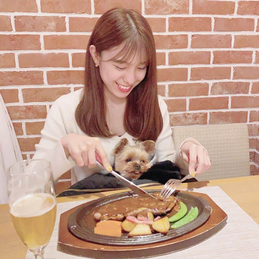 小嶋菜月さんのインスタグラム写真 - (小嶋菜月Instagram)「🐶❤️ . . わんちゃんと一緒に夜ご飯食べれるレストラン☺️🍻 . . #過去pic #わんちゃん #ステーキ #コース #千葉県 #小谷流の里ドギーズアイランド #小谷流の里 #レストラン #ヨークシャテリア #アンジュ #小型犬」3月19日 23時22分 - kojimanatsuki_offical