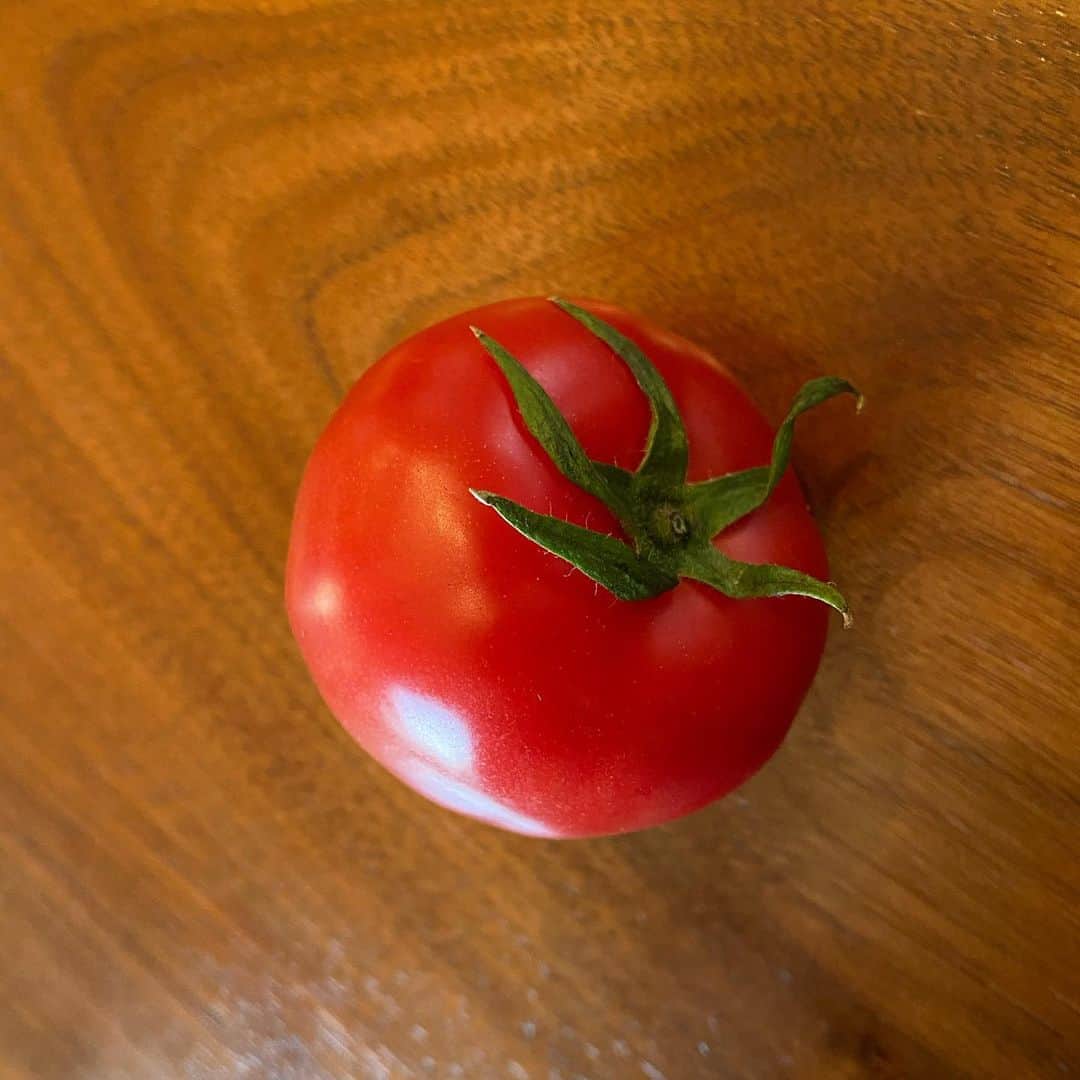 中越典子さんのインスタグラム写真 - (中越典子Instagram)「旬！ 佐賀のがばいおいしかトマト (佐賀のとーっても美味しいトマト) です。 栄養凝縮され、甘いー  #古賀さんのトマト #クリスタルレッド  #最高に甘くバランス良い #絶品 #佐賀」3月20日 10時55分 - nakagoshi_noriko.official