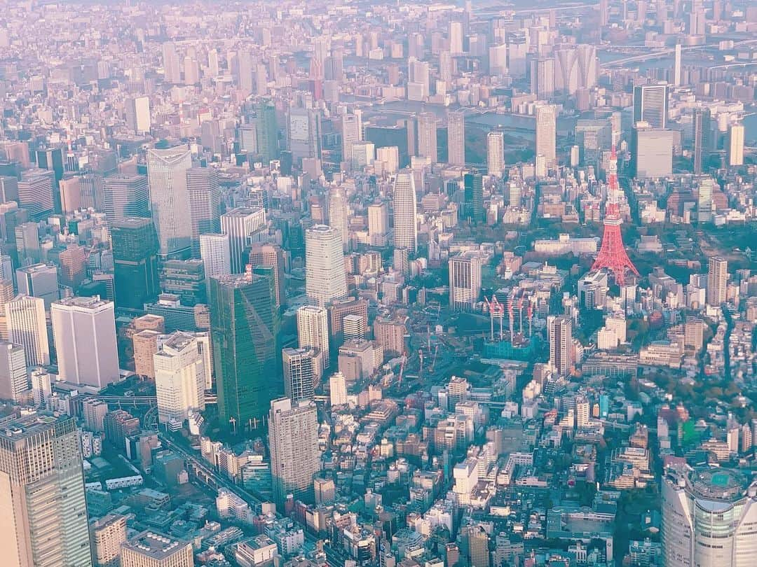 石田ひかりさんのインスタグラム写真 - (石田ひかりInstagram)「こちらが東京上空ルート✈️😳✈️😳 飛行機がぐおーってカーブ切る時 ジェットコースターみたいで楽しいよね！ 東京ドーム、六本木ヒルズ、迎賓館 独身のころ住んでいた三田の辺りや おともだちのマンションもはっきり分かりますた💮 いつか赤い布を振るゆり子さんも 見つけてみたいものです😆」3月20日 6時45分 - hikaringo0525