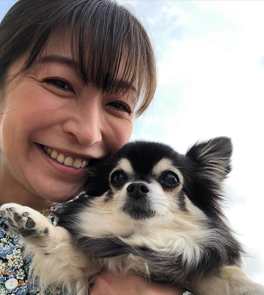 小野真弓さんのインスタグラム写真 - (小野真弓Instagram)「おはようございます🌸 良い週末を*\(^o^)/*🍀😷☺️  #チワワ#ハナちゃん #チワマル#ハルくん #わん散歩風景#いぬすたぐらむ #いぬばか部 #chihuahua #maltese #mixdog#doglover #dogstagram #犬のいる暮らし #千葉暮らし#朝陽#ちばすたぐらむ#早起き家族#庭遊び#ミニ菜園#ブロッコリーの花満開#何植えよう#楽しみ#明日は選挙#千葉県知事選挙2021  いよいよ緊急事態解除かしら🍀🤔 新しいライフスタイルにすっかり慣れた我が家は、 基本的な事は変えずに生活していこうと思います。 🏡😷☺️🐾 しっかり気をつけながら、、 必要な活動は少しづつ広げていけるといいな。 😷✨💇‍♀️✂️🦷🏥📖📚🌱☕️」3月20日 6時45分 - hanaharuaroi