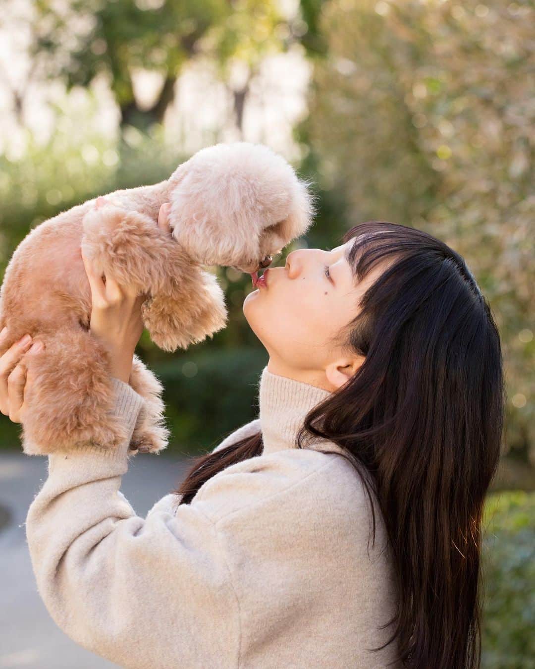 のインスタグラム：「サラちんペロっとして、 りんたんすりすりして、 おっちん鼻キッス💕  世界一愛おしい三姉妹。宝物。  一番下の子が今８ヶ月でそろそろヒートが来るので、避妊手術をするんだけど、 その前に撮影出来てよかった☺️💓  #いぬのいる暮らし  #いぬすたぐらむ  #犬好きな人と繋がりたい」