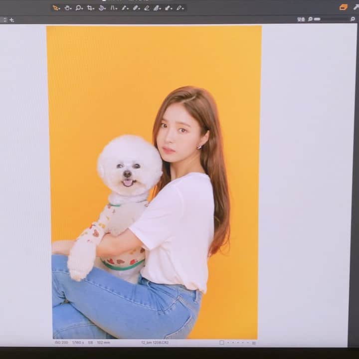 シン・セギョンのインスタグラム：「브이로그 올렸어요🌝✨ 링크는 프로필에 있습니다! Link in bio💛」