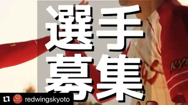 のインスタグラム：「大学の球友のチームが選手募集してるとかしてないとか。 京都付近で軟式野球したい！という方は一度チェック⚾️  こういう募集動画はカッコいいな。 #野球 #軟式野球 #草野球」