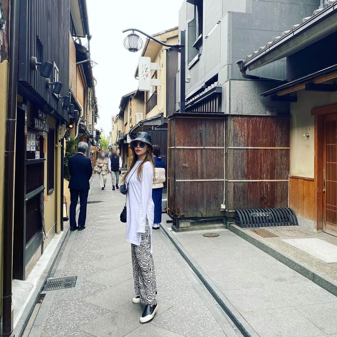 のインスタグラム：「先斗町散歩🦓」