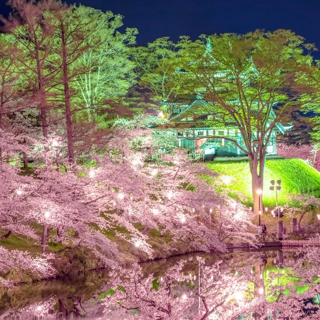 楽天トラベル さんのインスタグラム写真 - (楽天トラベル Instagram)「こんにちは😊 今日は新潟県にある日本三大夜桜のひとつをご紹介します✨ ーーーーーーーーーーーーーー 📍#高田城址公園 （新潟県上越市） ーーーーーーーーーーーーーー 新潟県上越市「高田城址公園」の桜は日本三大夜桜のひとつに数えられています。公園と周辺に咲き誇る桜は、約4,000本もあるそうです🌸 今年はぼんぼりの点灯、高田城三重櫓とさくらロードのライトアップが行われ、満開の桜とともに幻想的な美しさを堪能できます。 まるで桜のトンネルのような、さくらロードは、撮影スポットとしても人気。今年は片側通行で実施されるそうですよ。  ■高田城址公園観桜会 4月1日（木）～15日（木） ーーーーーーーーーーーーーー  📌ご旅行やおでかけの際は、事前にお住まいの地域や旅行先の情報を確認しご計画をお願いいたします ーーーーーーーーーーーーーー 旅先で出会った美しい風景や素敵な旅館などを  #rakutentravel を付けてぜひシェアしてください😊 このアカウントでご紹介させていただきます💗 ーーーーーーーーーーーーーー  #楽天トラベル #旅行好きな人と繋がりたい #旅したくなるフォト #旅行 #国内旅行 #旅行好き #旅行好きと繋がりたい #写真好きな人と繋がりたい #旅好き女子 #旅行好き女子 #travel #trip #japan #たびすたぐらむ #高田城址公園 #桜 #夜桜 #お花見 #花見 #さくら #新潟県 #絶景スポット #絶景 #新潟旅行 #新潟観光 #ライトアップ #花の写真館 #sakura」3月20日 18時00分 - rakutentravel