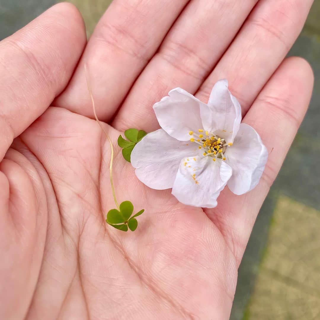 神子島みかのインスタグラム