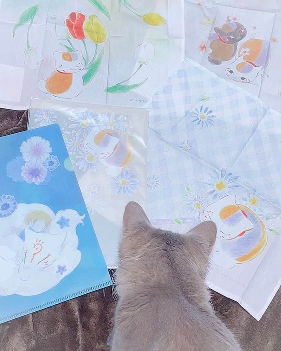 ちかちゃさんのインスタグラム写真 - (ちかちゃInstagram)「. 本日の戦利品︎︎❁  お花とねこ、 最高かよ . . . #ニャンコ先生一番くじ #戦利品 #ニャンコ先生と花しらべ #夏目友人帳 #ニャンコ先生 #かわいい」3月20日 22時22分 - ch1kaphoto