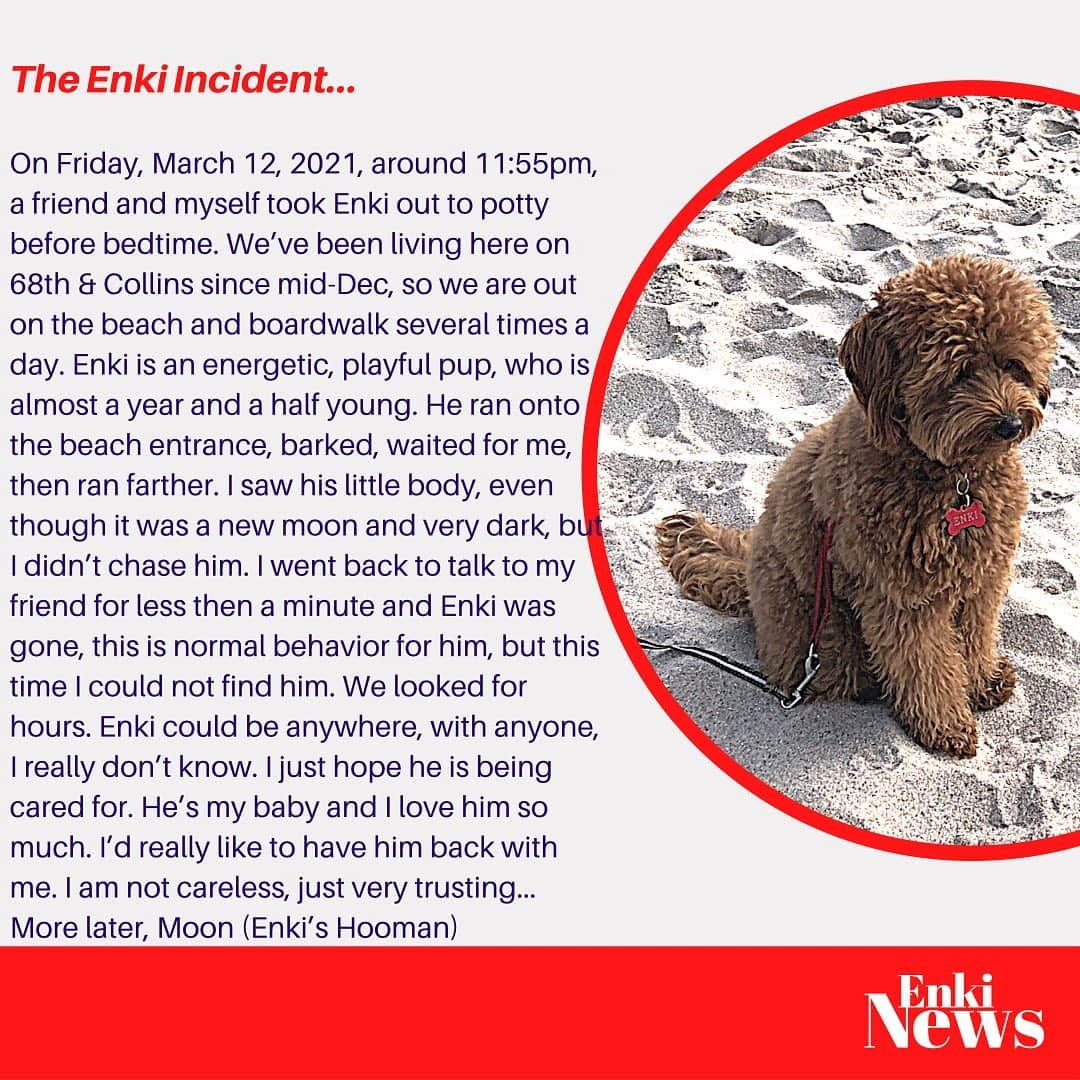 GODDESS OF LOVEのインスタグラム：「Follow @enki.doodle.bear for more. thank you for all your prayers and shares. #missingpuppy」