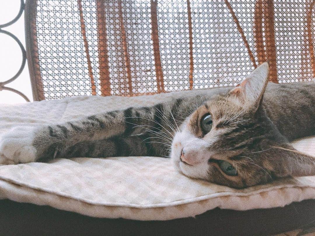 のインスタグラム：「今日もおつかれさまでした☺️ ⠀ 不安を覚えるほど長い地震でしたね。 ⠀ あなたが今夜、少しでもゆっくり眠れますように。おやすみなさい🌼🌙⠀ ⠀ ひまり→ヘレン→はんなです。」