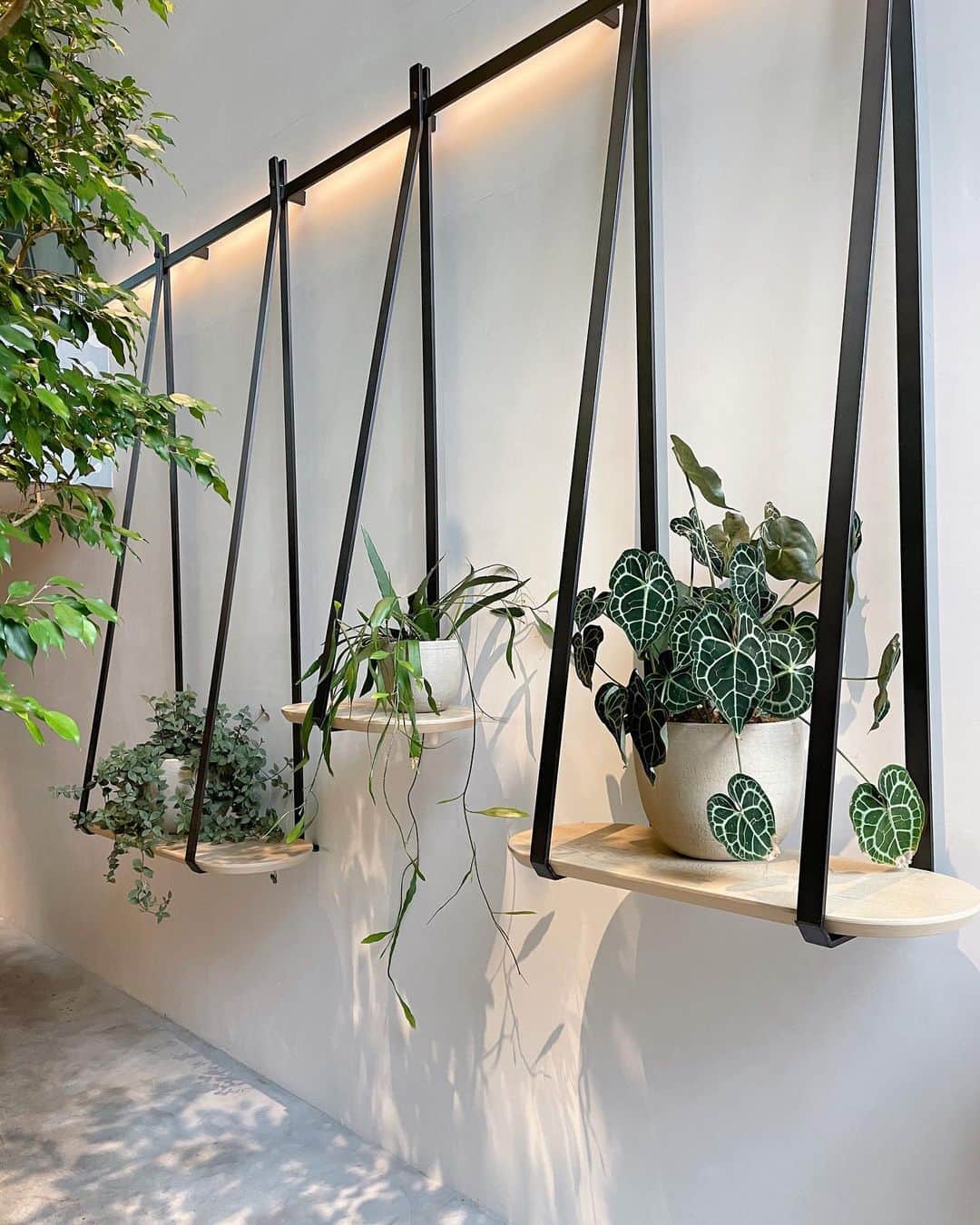 のインスタグラム：「🍃🌱🌿」